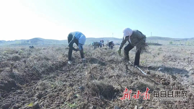 景泰县正路乡最新新闻报道概览