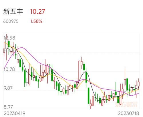 新五丰股票最新消息深度解析与动态关注